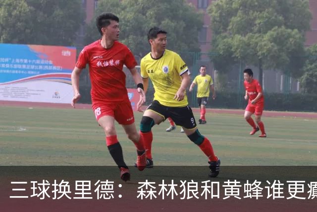 三球换里德：森林狼和黄蜂谁更癫？！